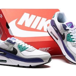 Air Max 90 Raisin