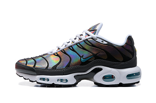 Air Max Plus TN Noir / Multicolore