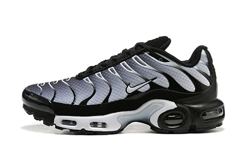 Air Max Plus TN Noir / Gris