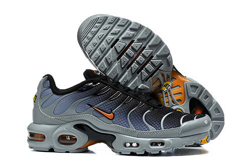 Air Max Plus TN Gris / Bleu