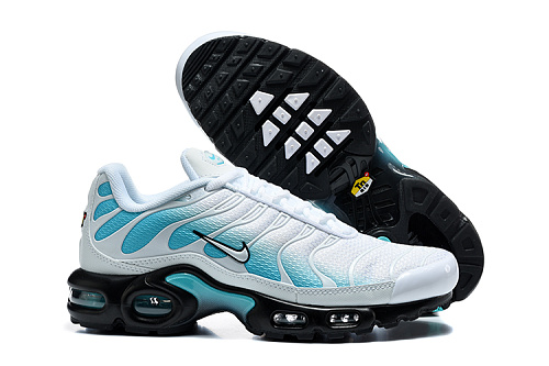 Air Max Plus TN Blanc / Turquoise