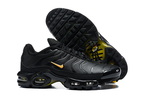 Air Max Plus TN Noir / Or