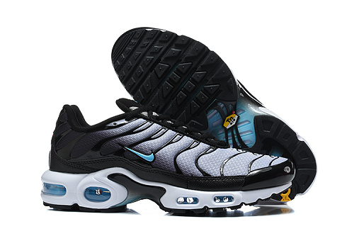 Air Max Plus TN Noir / Blanc / Bleu