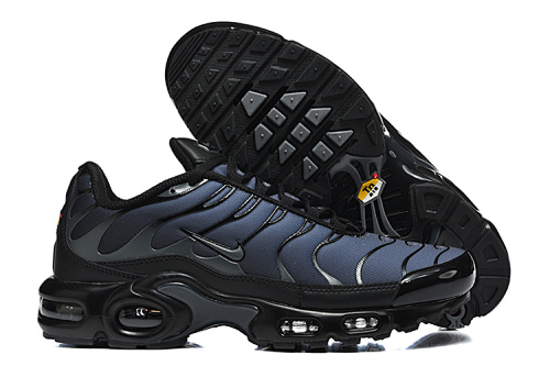 Air Max Plus TN Noir / Bleu Marine