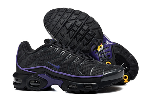 Air Max Plus TN Noir / Violet