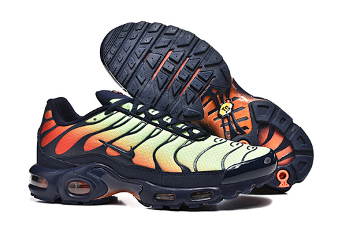 Air Max Plus TN Noir / Multicolore