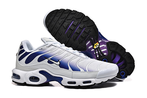 Air Max Plus TN Blanc / Bleu / Violet